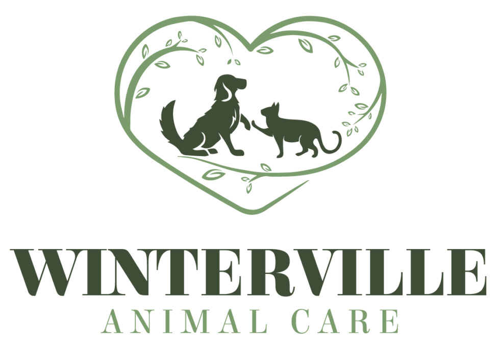 veterinarian-in-winterville-nc-winterville-animal-care