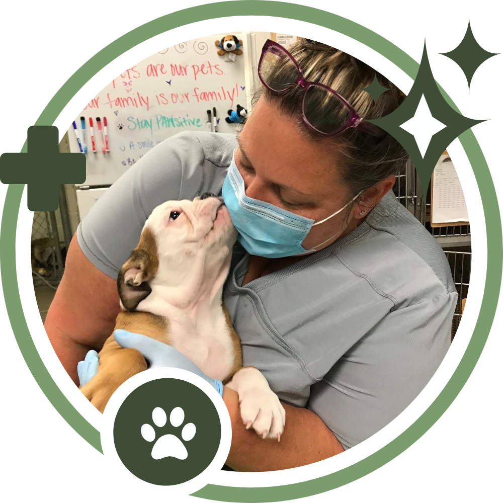 Join Our Veterinary Team
